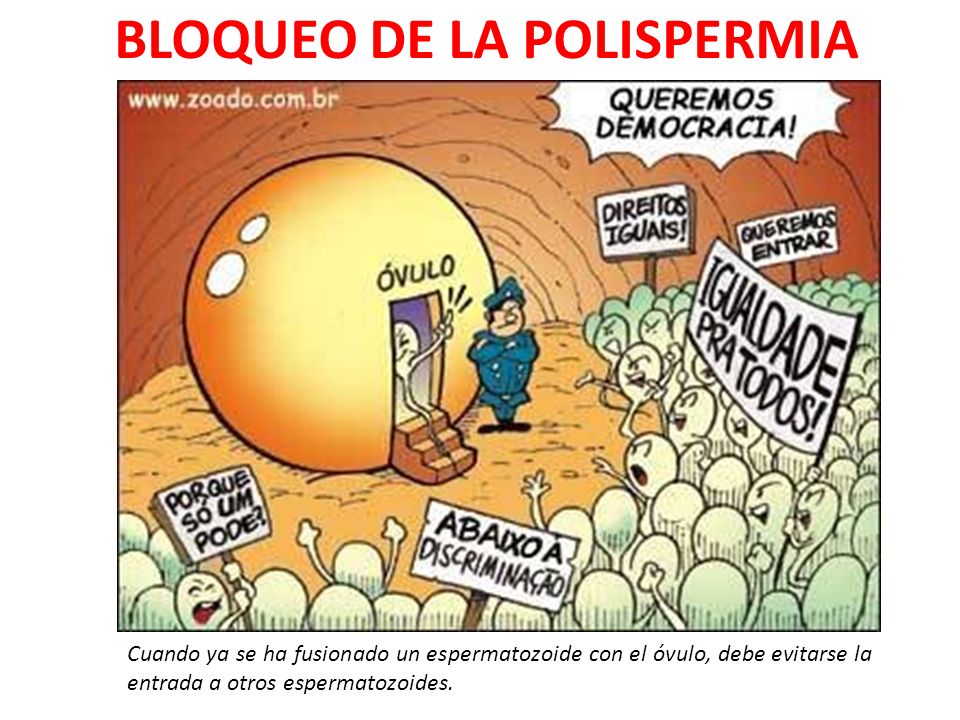 El alcoholismo el fumar el tratamiento